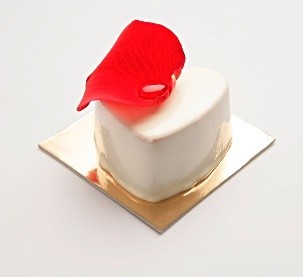 You are currently viewing Panna Cotta